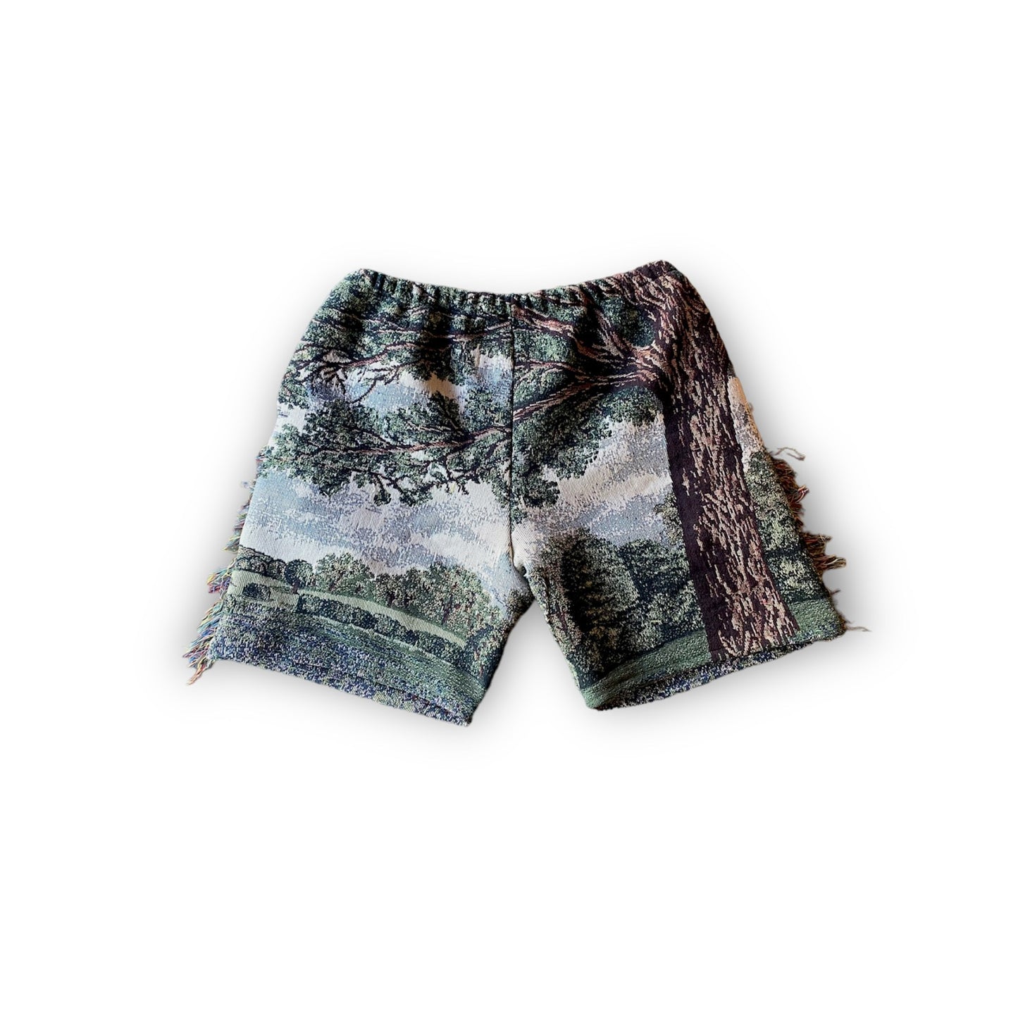 Jeremiah 17 Shorts